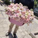 گل گیشا