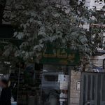 عطاری مشهدالرضا