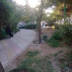 بوستان امین