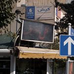 گل شقایق