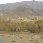 روستای یارند