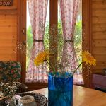 اقامتگاه بین المللی بومگردی زیال اکولوژ