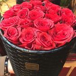 گلفروشی گیاکادو