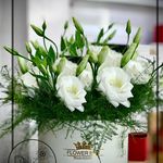 گلفروشی پالیز