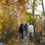 روستای برز رود ( نطنز )