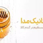 عطاری آنلاین گندم