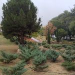 معاونت فرهنگی دانشگاه شیراز