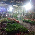 گلفروشی صداقت