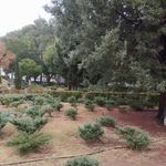 معاونت فرهنگی دانشگاه شیراز