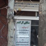 سنگکی گل گندم