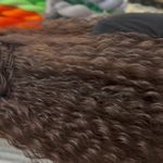 بافت مو نیلوفر Braidbynikuti