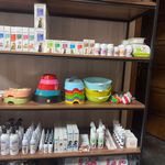 کلینیک دامپزشکی پت لایف