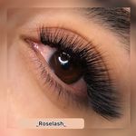 خدمات و آموزش اکستنشن مژه رز