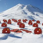 فروشگاه کارنزو