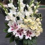 گلفروشی سی تو (ارسال رایگان)