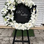 گل فروشی لی‌لی چالوس