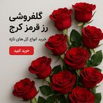 گلفروشی آنلاین Red Rose