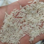 برنج عطری روستا