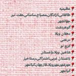 خدمات نظافت درنیکا ایرانیان