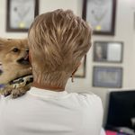 زیبایی تخصصی مو مرسده بهرام