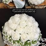 نانالند