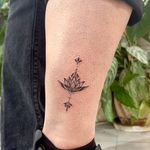 مرکز تخصصی تتو بدن و آرایش دائم فرشته