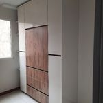 دکوراسیون داخلی، کابینت خاکسار