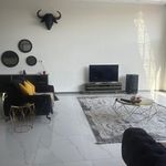 باغ ویلای شاهان