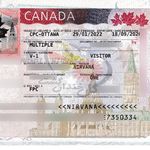 آژانس خدمات مسافرتی گل خندان گشت