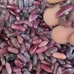 فروش حبوبات اعلا