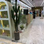 آرایشی و بهداشتی سلنا شعبه گلستان
