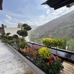 فروش گياه گلخانه زيتون