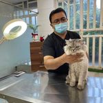 درمانگاه دامپزشکی های پت