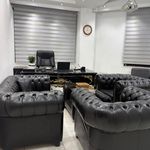 خرید و فروش فلزیاب زرین باستان
