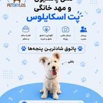 مرکز هتل پانسیون حیوانات خانگی پت اسکایلوس