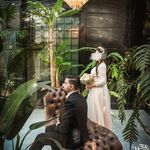 آتلیه تخصصی عروس رها