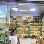 تولید و پخش لوازم چوبی نهال تصنیع الخشبی