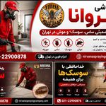 شرکت سمپاشی نیروانا