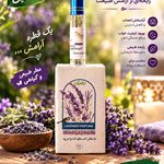 فروشگاه دهکده ارگانیک شرق