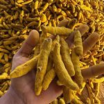 پخش عطاری ها(ادویه جات و گیاهان دارویی)