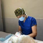 کلینیک دامپزشکی پاندورا