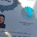 مدرک تحصیلی دیپلم تا دکترا