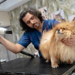 آرایشگاه حیوانات خانگی ادریس پت گرومینگ