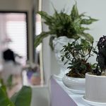 کلینیک تخصصی لیزر پوست مو زیبایی آی‌تا