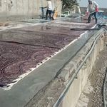 قالیشویی و مبل شویی آرین