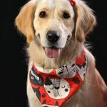 آتلیه عکاسی تک چهره ها