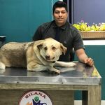 کلینیک دامپزشکی و پت شاپ گیلانا