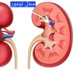 مجید صفوی
