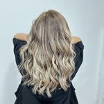 رنگ و لایت سلیمانی