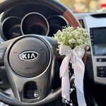 گالری ماهنیز